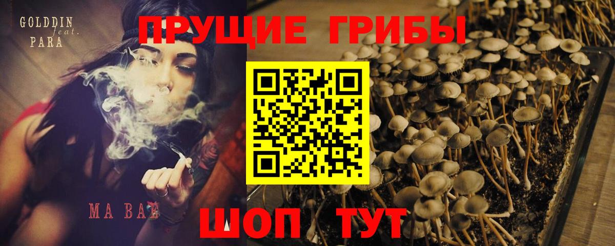 Галлюциногенные грибы Беслан